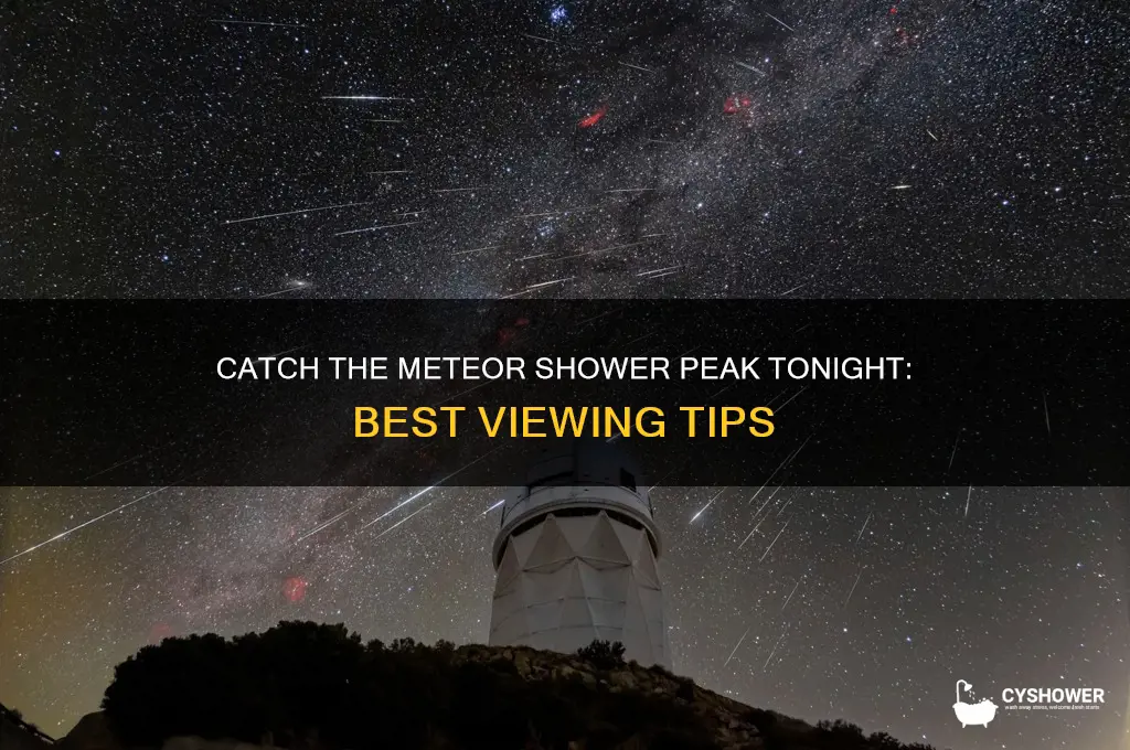 when to see tonights meteor shower peak