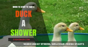 When Should You Start Bathing Your Duck: A Guide