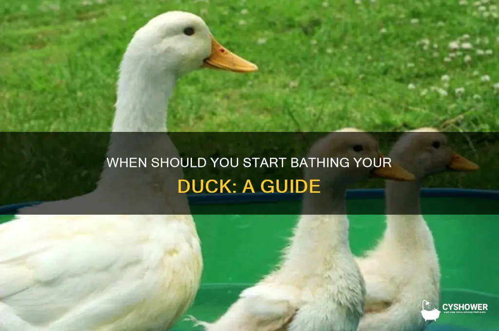 when to start to take a duck a shower