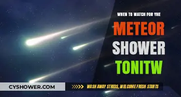 Tonight's Meteor Shower: Best Time to Watch and Tips