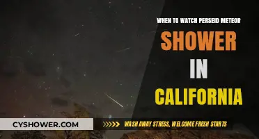 Best Time to Watch Perseid Meteor Shower in California