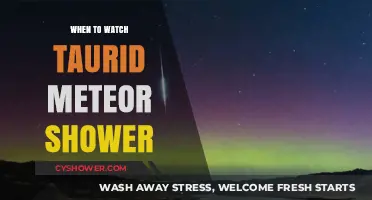Best Time to Watch the Taurid Meteor Shower This Year