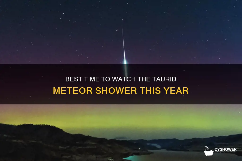 when to watch taurid meteor shower
