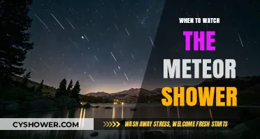 Best Times to Watch the Meteor Shower: A Stargazer's Guide
