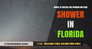 Best Times to Watch Perseid Meteor Shower in Florida