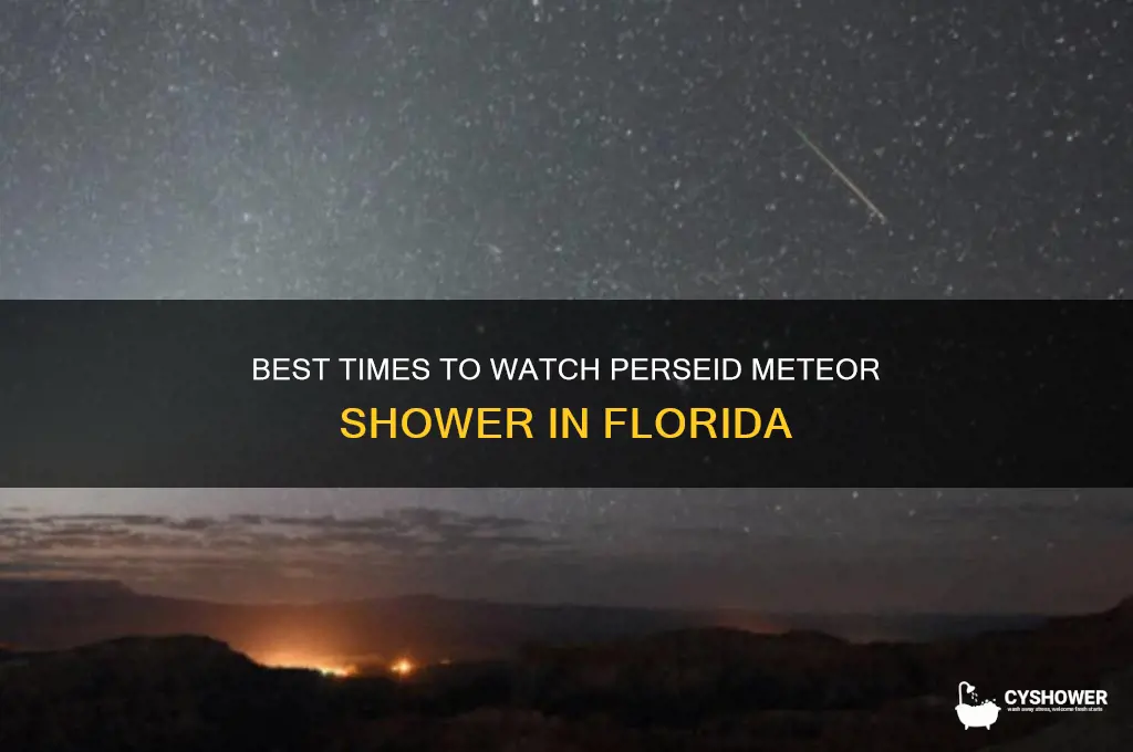 when to watch the perseid meteor shower in florida