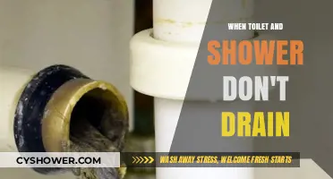 Clogged Drains: Quick Fixes for Slow Toilets and Showers