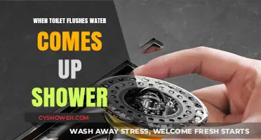 Shower Drain Backup: Why Toilet Flushes Cause Water to Rise
