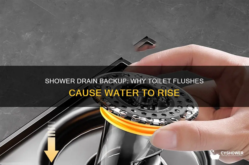 when toilet flushes water comes up shower