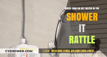 Why Does My Shower Rattle When I Turn on Hot Water?
