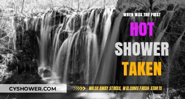 The Surprising History of the First Hot Shower Ever Taken