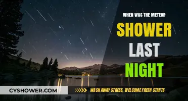 Last Night's Meteor Shower: Date, Time, and Viewing Highlights