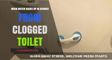 Shower Backup? How a Clogged Toilet Causes Water Woes