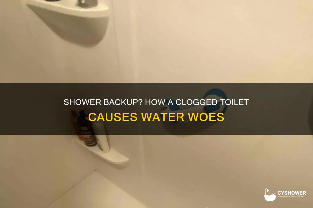 when water backs up in shower from clogged toilet