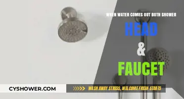 Why Water Flows from Shower Head and Faucet Simultaneously: Causes & Fixes