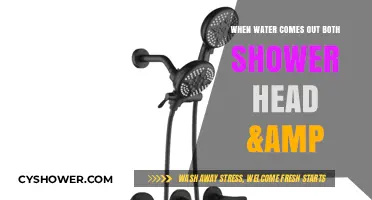 Shower Head and Tub Faucet: Why Water Flows from Both Simultaneously