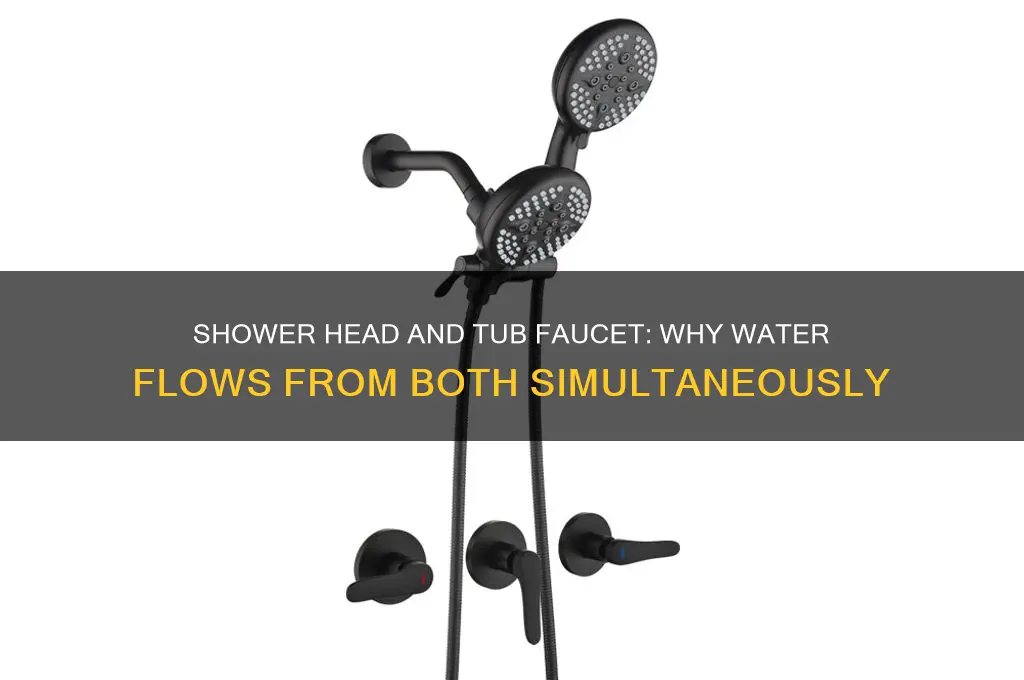 when water comes out both shower head &amp