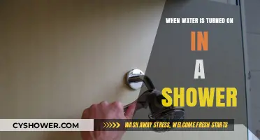 The Science Behind Shower Bliss: When Water Flows, Relaxation Begins