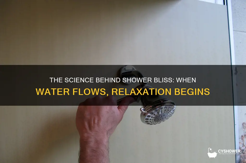 when water is turned on in a shower