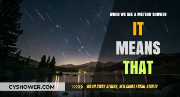 Meteor Showers: What Their Appearance in the Night Sky Signifies