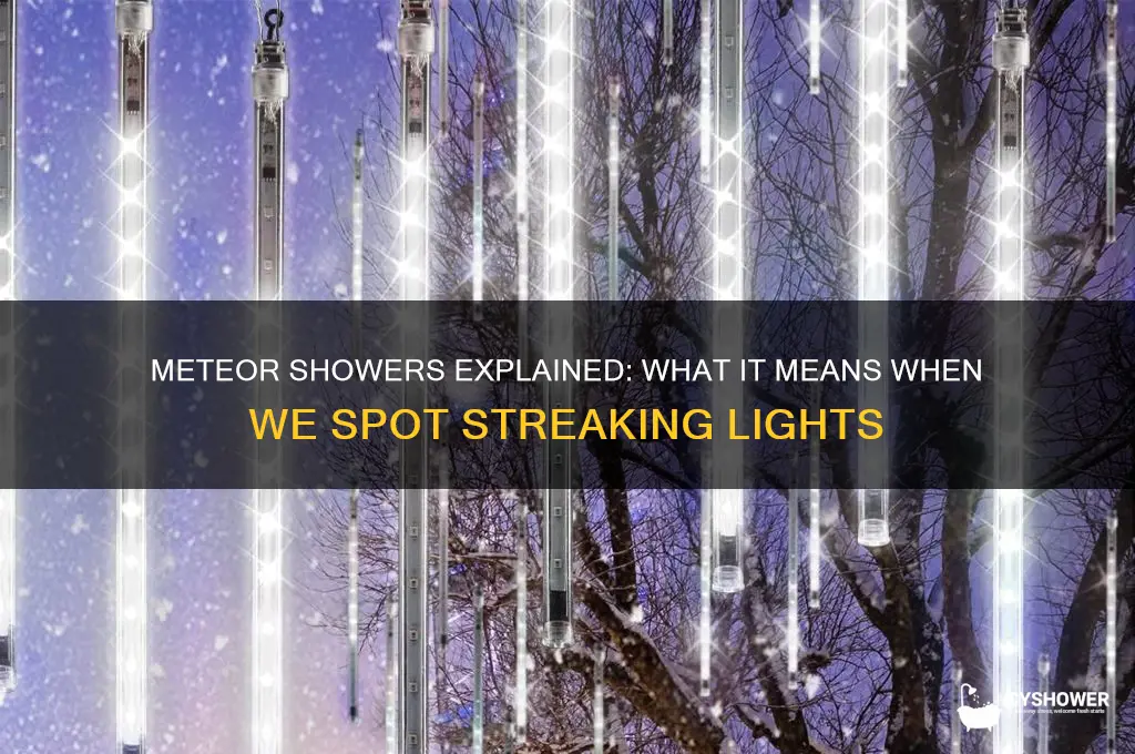 when we see a meteor shower it usually means that