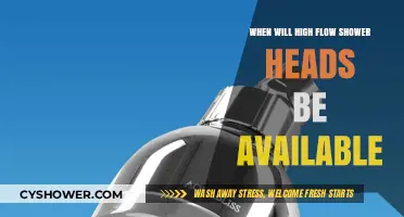 When Can You Buy High Flow Shower Heads: Availability Update