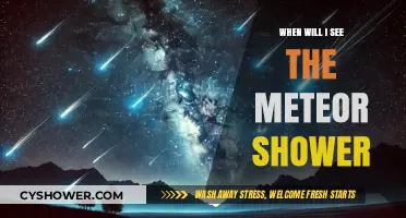 When Will I See the Meteor Shower: A Stargazer's Guide
