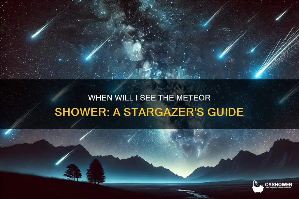 when will i see the meteor shower