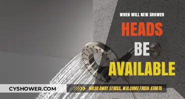 Upcoming Shower Head Releases: When to Expect New Models