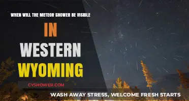Western Wyoming's Meteor Shower: Visibility Dates and Best Viewing Tips