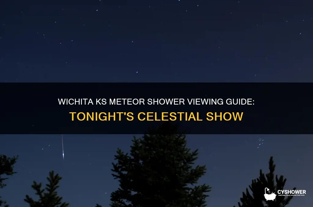 when will the meteor shower be visible tonight wichita ks