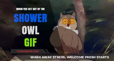 Post-Shower Owl GIFs: Hilarious Reactions to Stepping Out of the Shower