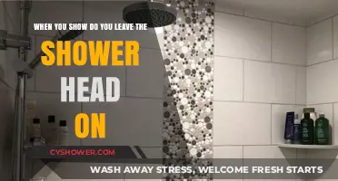 Should You Leave the Shower Head On While Shampooing? Pros and Cons