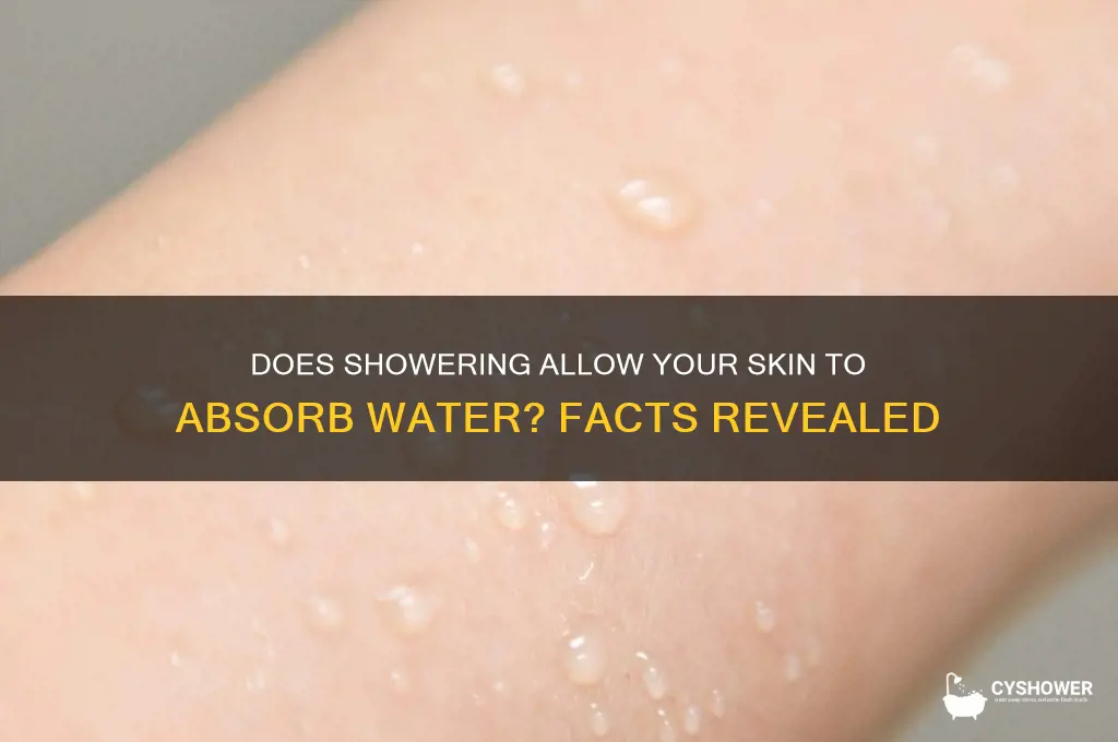 when you shower does your body absorb water