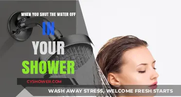 Why Turning Off the Shower Mid-Wash Can Be a Game-Changer