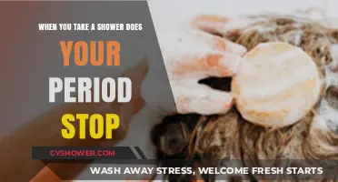 Does Showering Pause Your Period? Debunking Myths and Facts