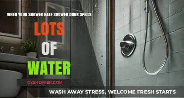 Fixing a Leaky Half Shower Door: Stop Water Spills Fast