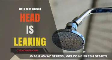 Fixing a Leaky Shower Head: Quick DIY Solutions and Tips