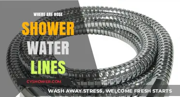 Where Are Hose Shower Water Lines Located and How to Find Them