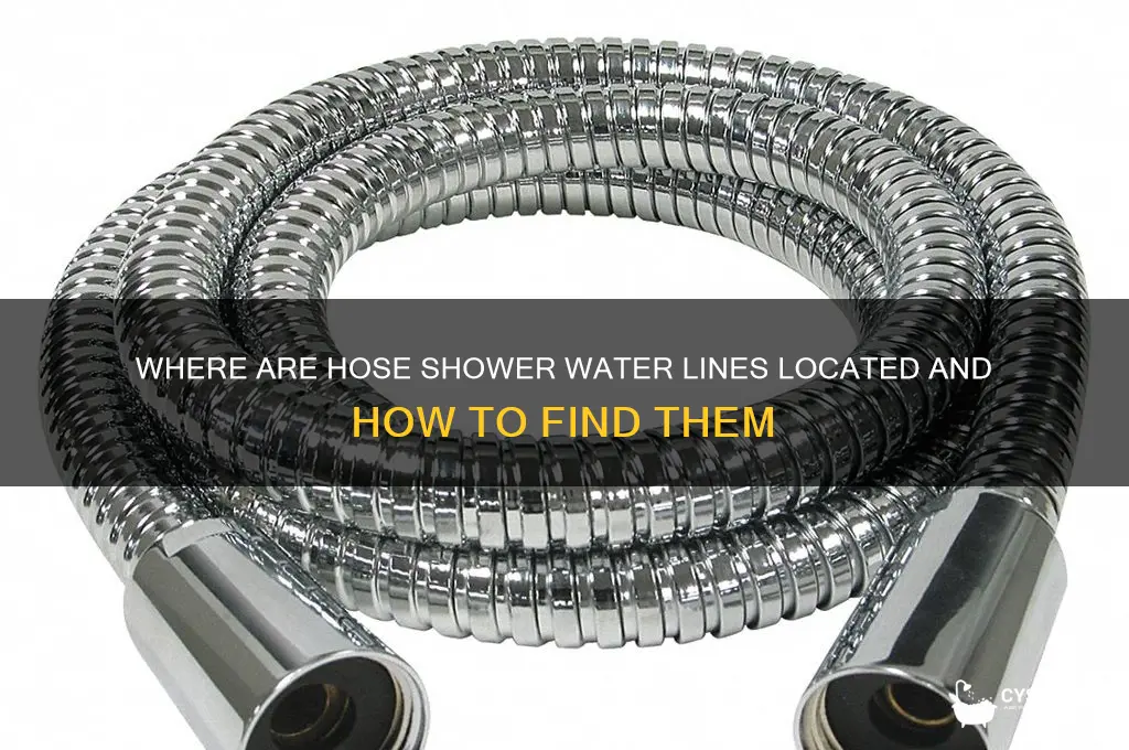 where are hose shower water lines