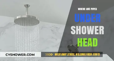 Where Are Pipes Under Shower Head? A Quick Plumbing Guide
