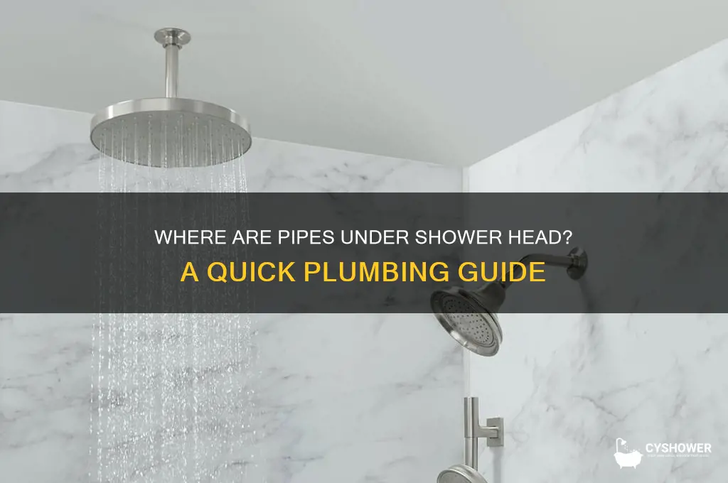 where are pipes under shower head