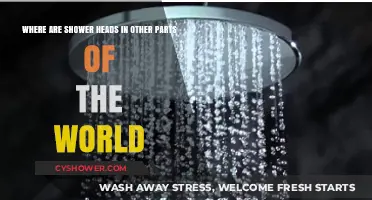 Global Shower Head Styles: Unique Designs from Around the World