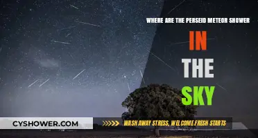 Spotting the Perseid Meteor Shower: Sky Location Guide for Stargazers