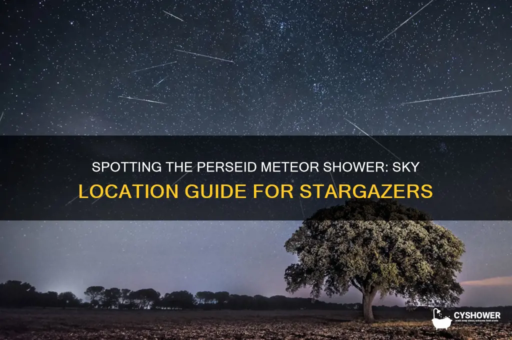 where are the perseid meteor shower in the sky