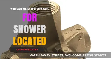 Finding Your Shower's Water Shut-Off Valves: A Quick Guide