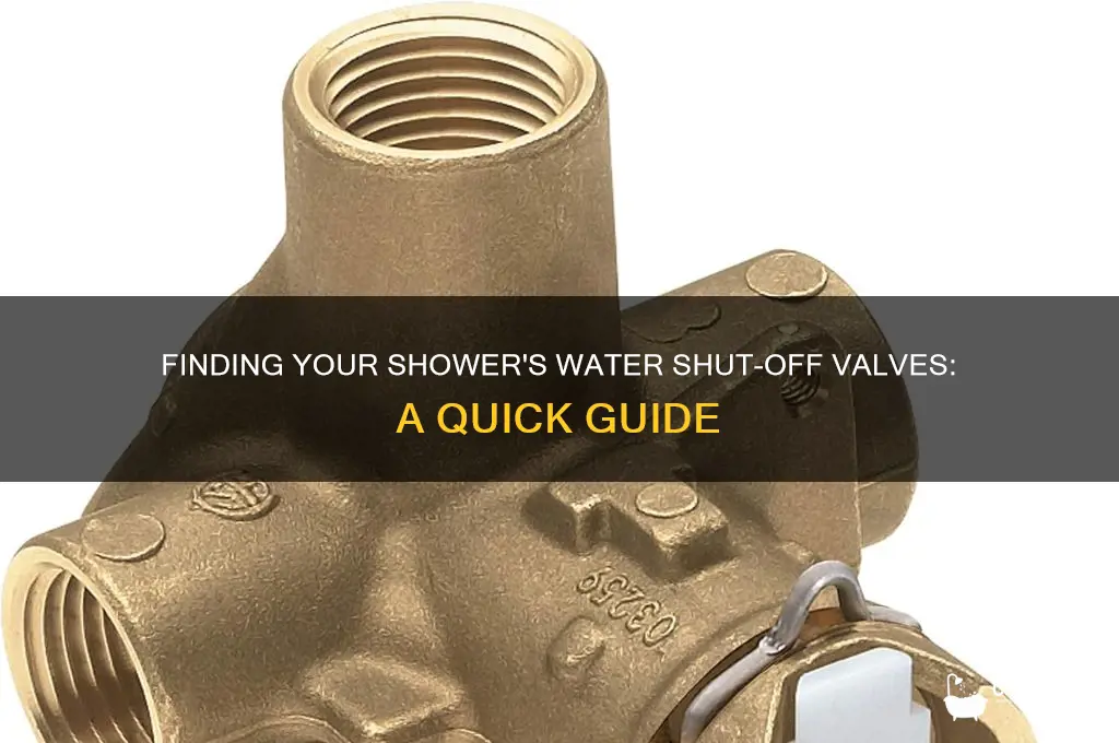 where are water shut off valves for shower located