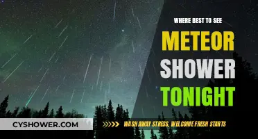 Best Spots to Watch Tonight's Meteor Shower: A Stargazer's Guide