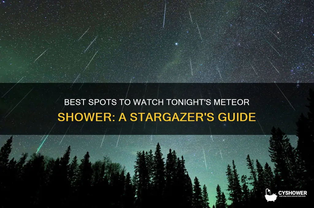 where best to see meteor shower tonight