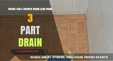 Common Shower Drain Leak Sources in 3-Part Drain Systems